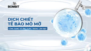 Dịch chiết tế bào trung mô