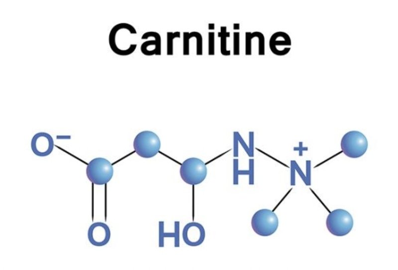 Cac-loai-carnitine