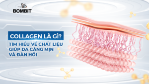 Collagen là gì