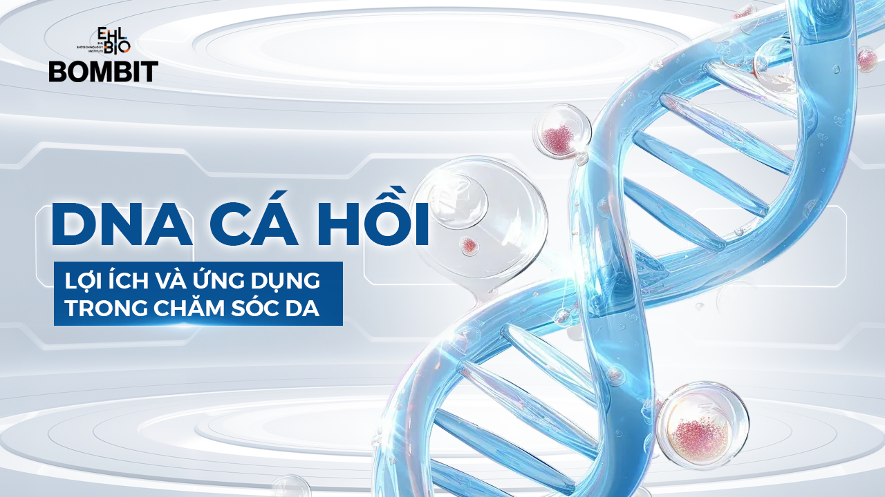 DNA cá hồi