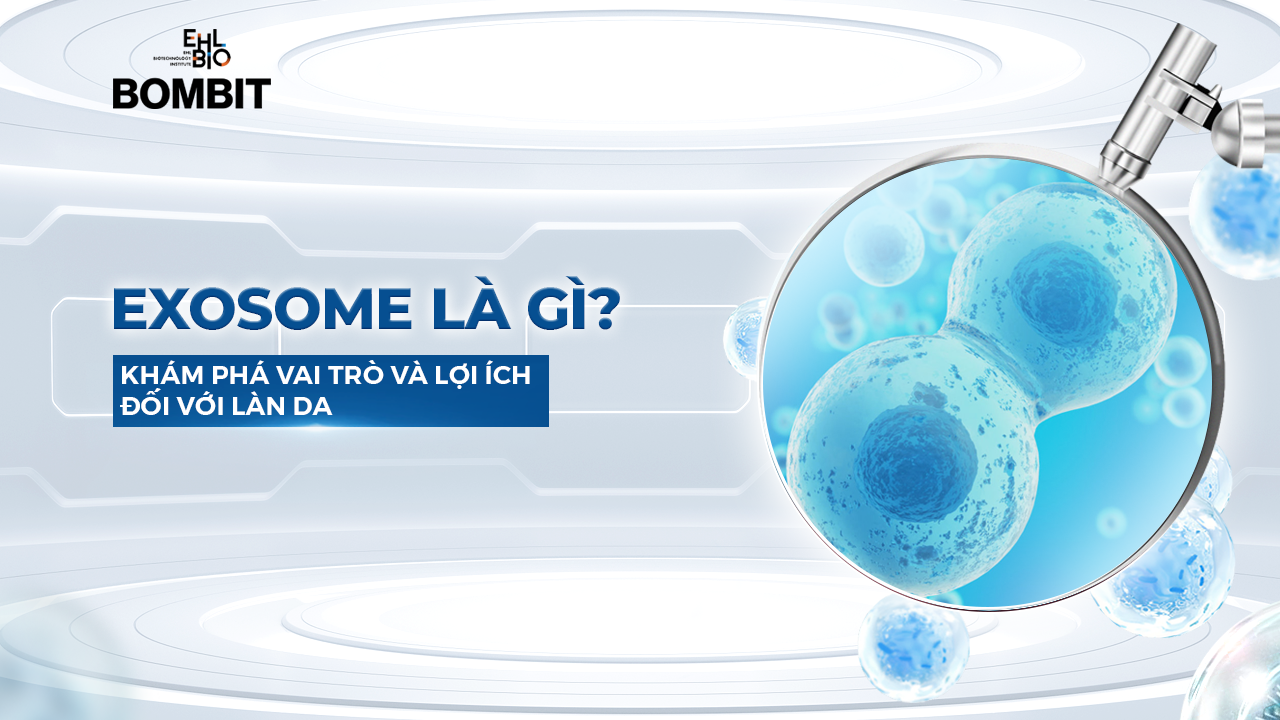 exosome-la-gi