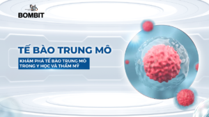 Tế bào trung mô