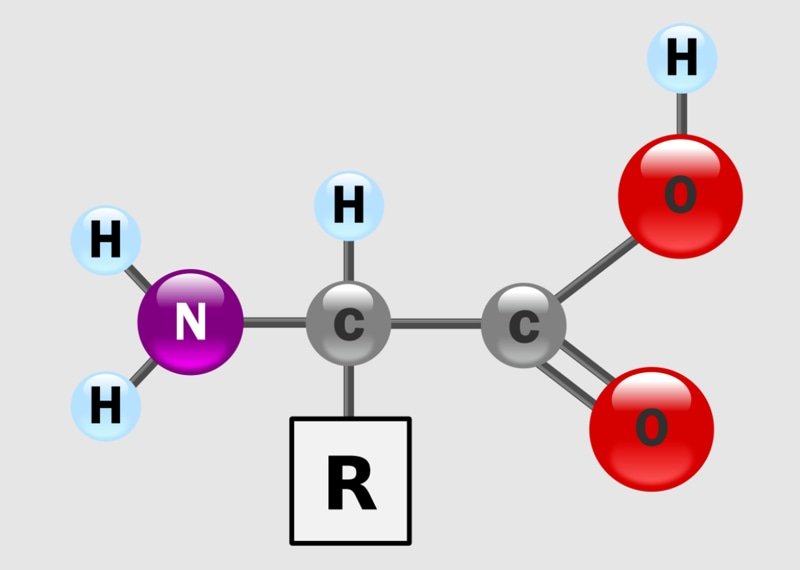 Amino-Acid-la-gi